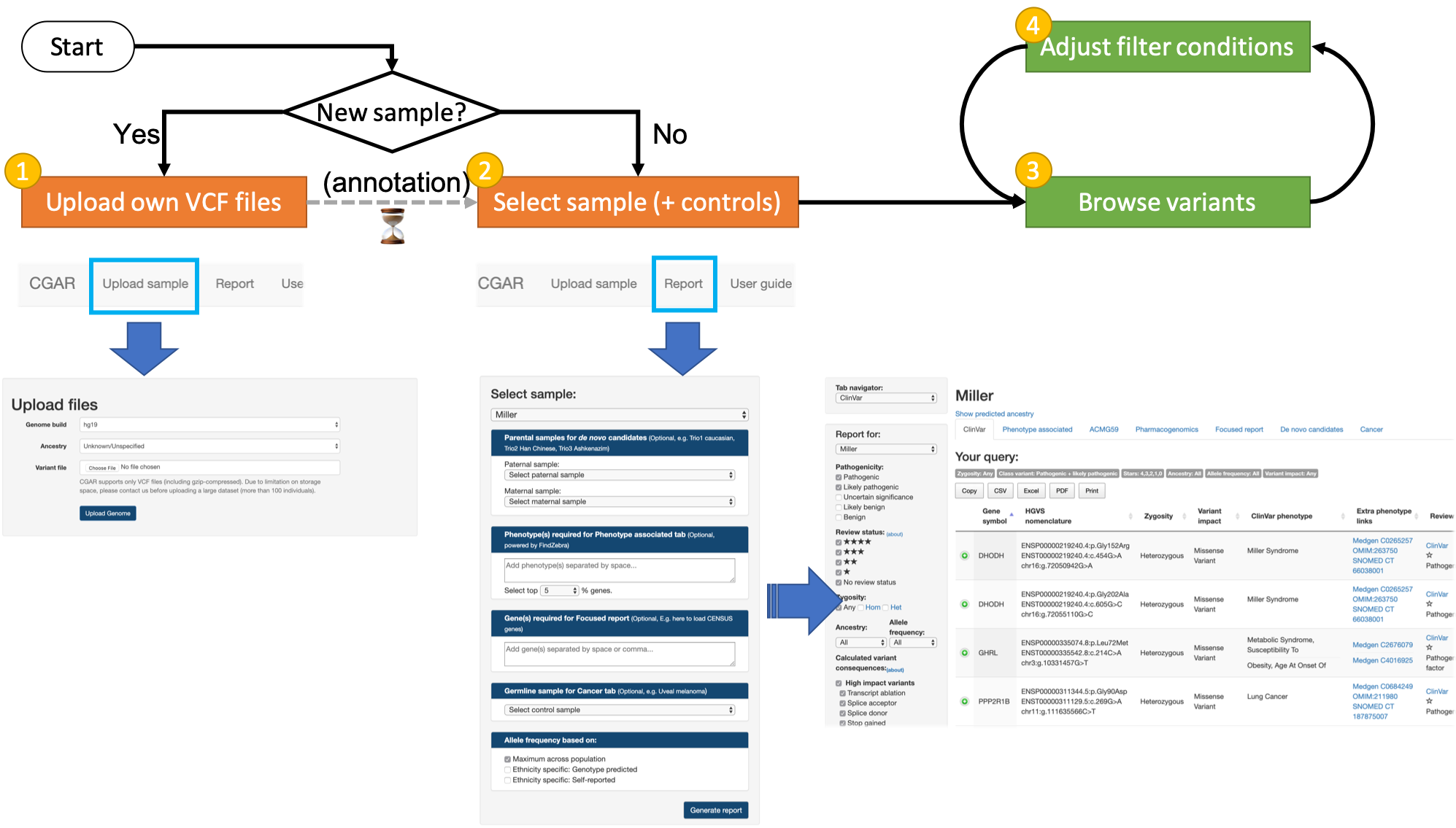 _images/Overview.png